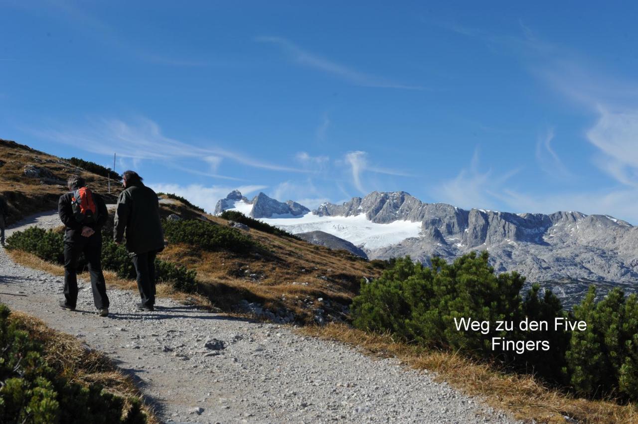Haus Alpenblick Lägenhet Obertraun Exteriör bild