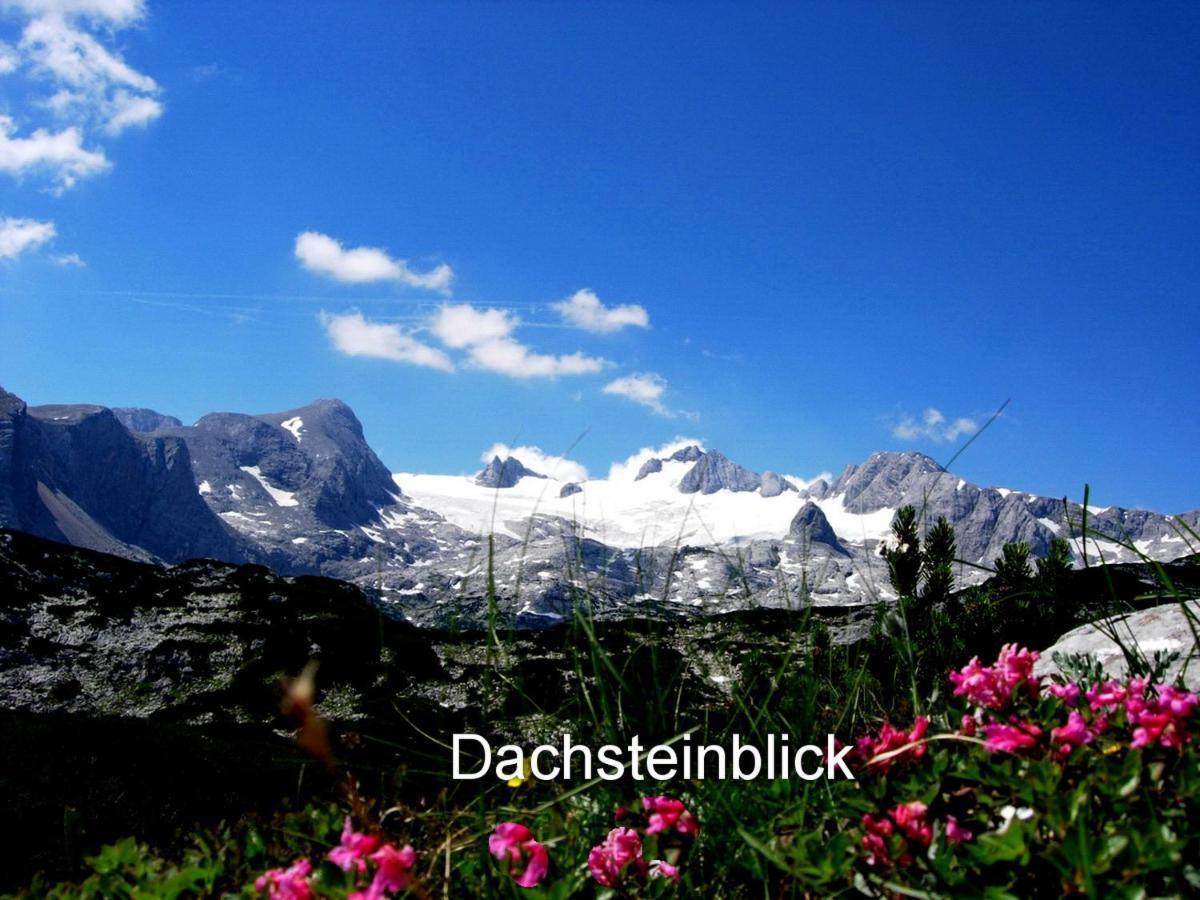 Haus Alpenblick Lägenhet Obertraun Exteriör bild