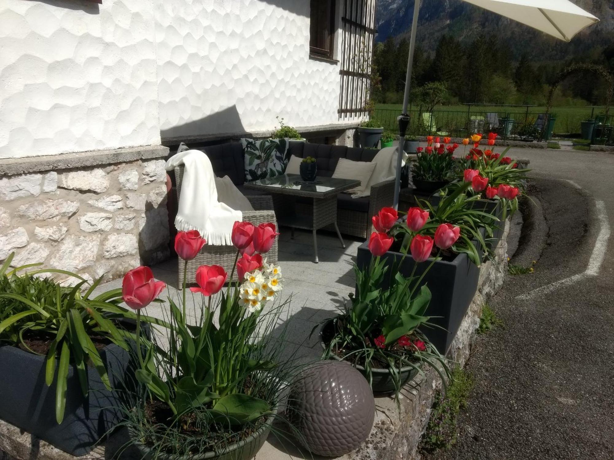 Haus Alpenblick Lägenhet Obertraun Exteriör bild