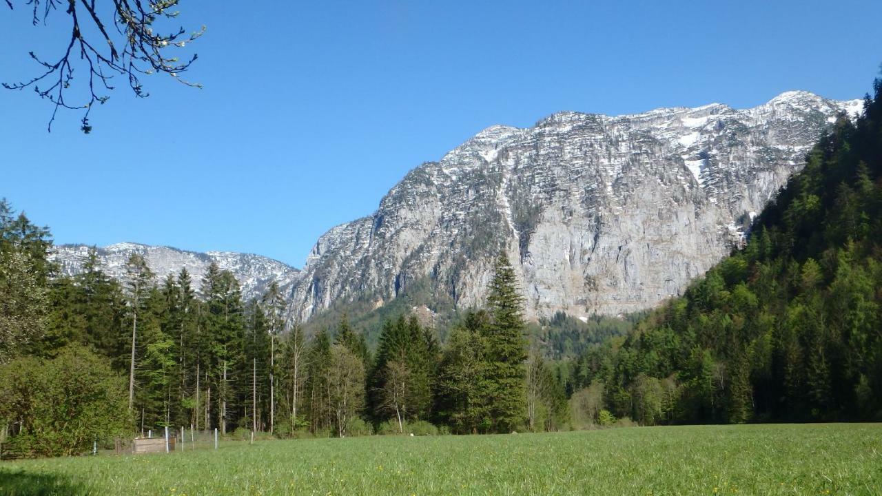 Haus Alpenblick Lägenhet Obertraun Exteriör bild
